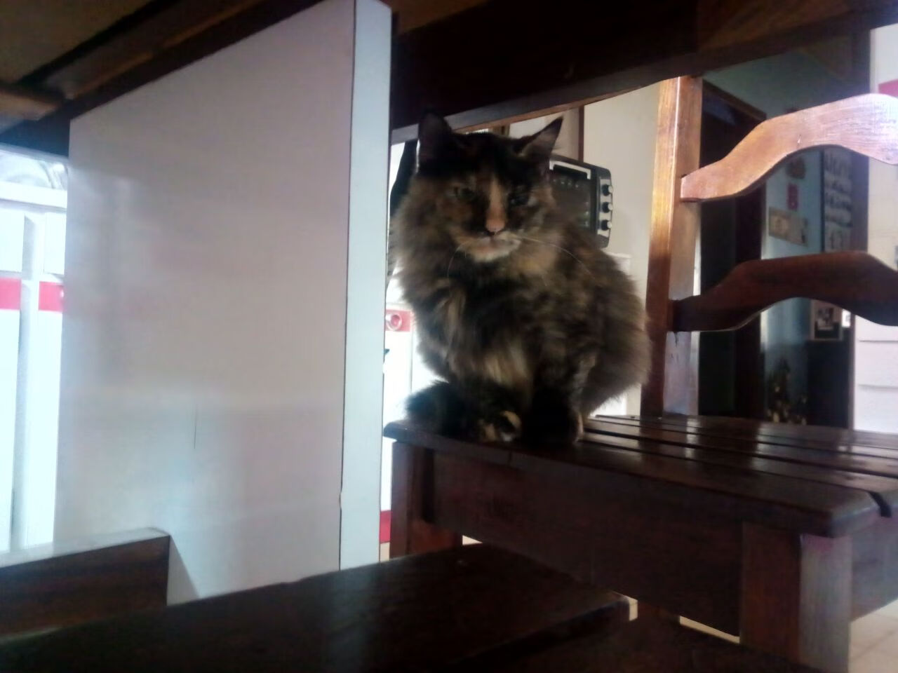 德甲主力轮休制度对赛季末表现的影响研究，德甲多少轮