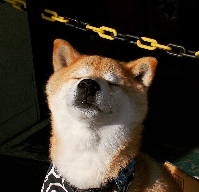 德甲主力轮休制度对赛季末表现的影响研究，德甲多少轮